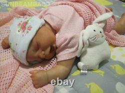 Reborn Bâillement Lifelike Doll 20 Bountiful Baby Artist 7 Ans Dan Sunbeambabies
