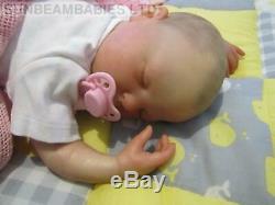 Reborn Bountiful Bébé Fille Rose / Artiste Dan Sunbeambabies Avec Sac Cadeau