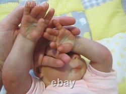 Reborn Toddler Doll 8lbs Bountiful Baby Girl Artist 7 Ans Dan Sunbeambabies Ghsp