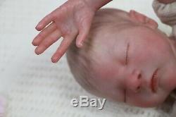Réincarné Baby Boy Doll Prématuré Prématurée 13 Caleb Boneham Par L'artiste De 9yrs Pvhg