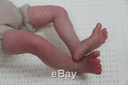 Réincarné Baby Girl Doll Prématuré Prématurée 13 Caleb Boneham Par L'artiste De 9yrs Pvhg