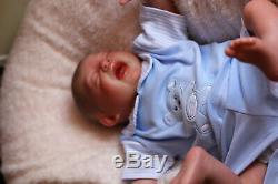 Stock Reborn Low Baby Doll Logan Handpainted Par L'artiste Sunbeambabies Ghsp