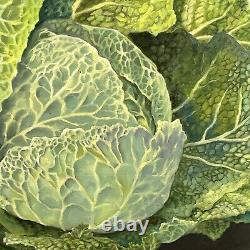 Susan R Ball Original signé 1989 Savoy Cabbage Nature morte à l'huile sur toile OOAK